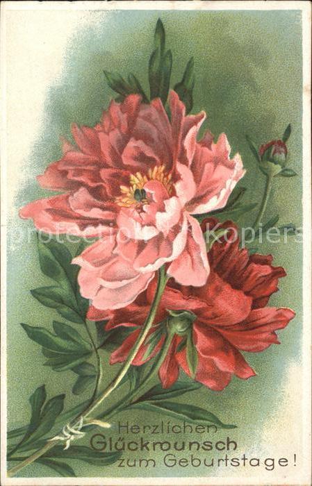 Geburtstag Glückwunsch Blumen Litho