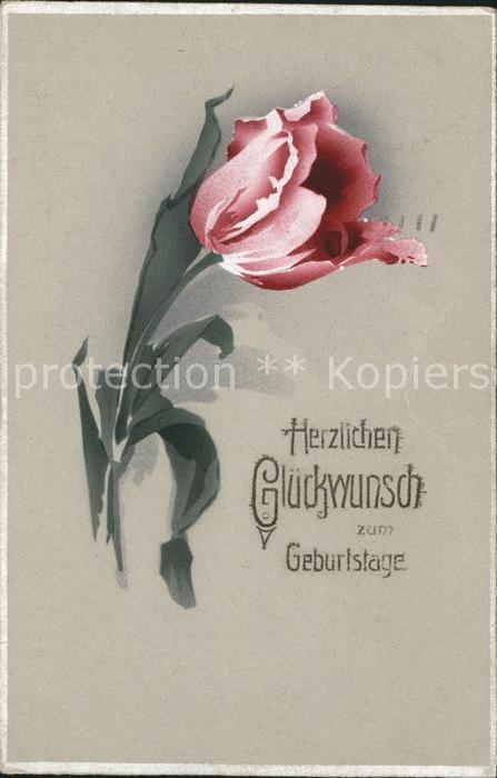 Geburtstag Glückwunsch Tulpe