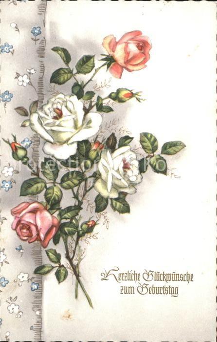 Rosen Glückwunsch Geburtstag