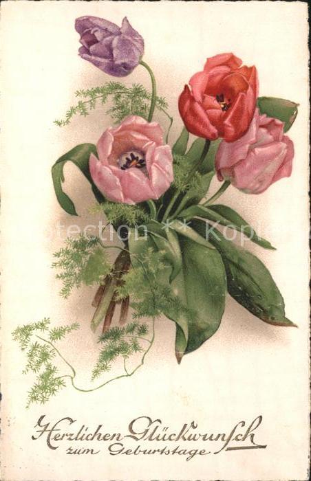 Geburtstag Glückwunsch Tulpen