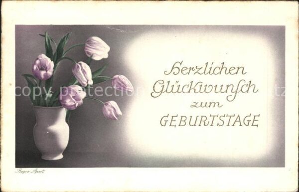 Geburtstag Glückwunsch Tulpen Begro-Apart-Verlag N