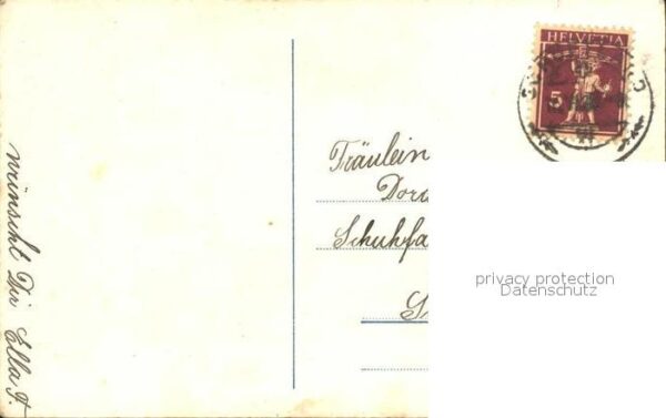 Foto NPG Nr. 7959/2 Frau Rosen Glückwunsch Geburtsta – Bild 2
