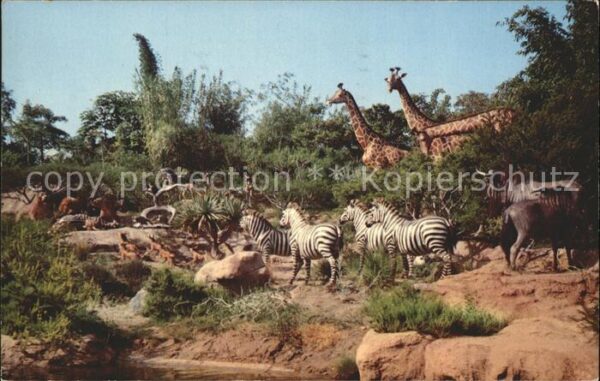 Disneyland California African Veldt Gazelles gnus zebra lions