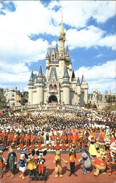 Disney World Cinderella Castle Mickey Mouse Donald D