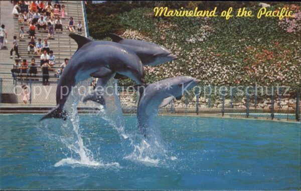 Delfine Delphine Dolphins Dauphins Delfi Leaping dolphin trio Marineland of the