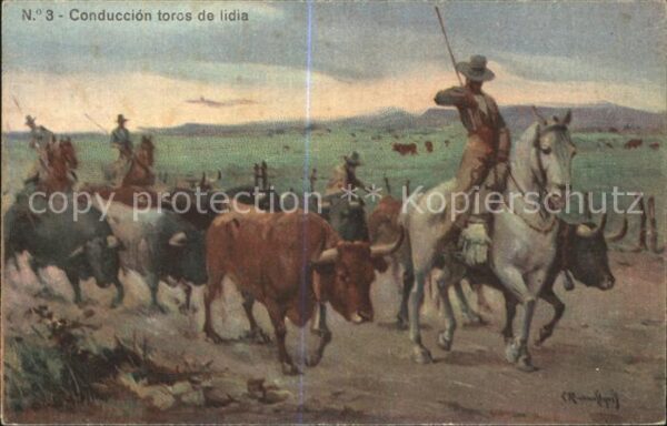 Stiere Conduccion toros de lidia Pferd