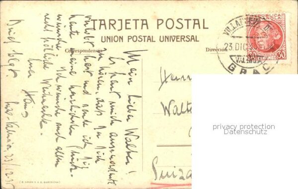 Stiere Conduccion toros de lidia Pferd – Bild 2
