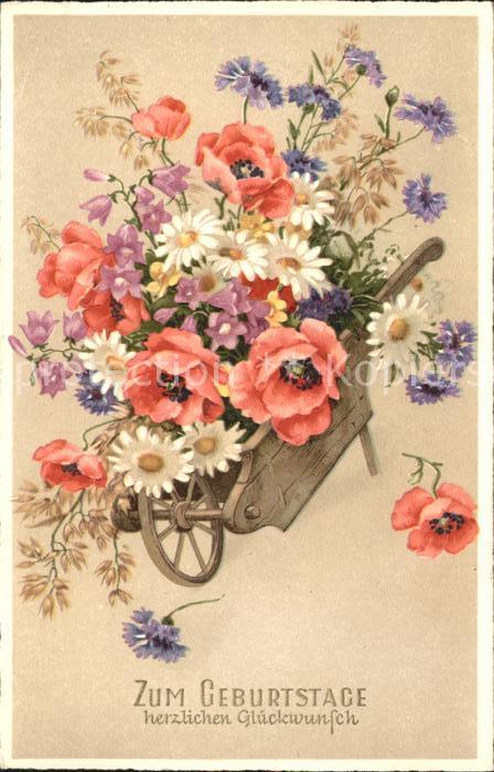 Geburtstag Schubkarre Mohnblumen Margeriten Kornbl