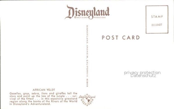 Disneyland California African Veldt Zebras Giraffen – Bild 2