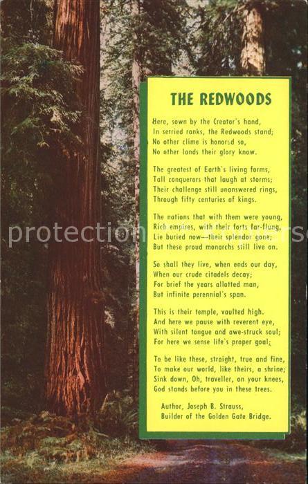 Baeume Trees The Redwoods Poem Joseph B. Strauss Ged