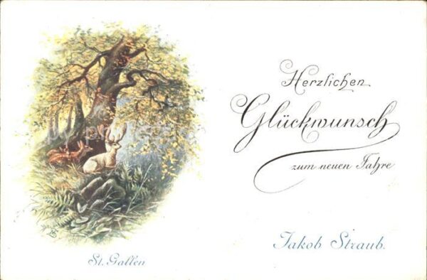 Hirsch Neujahr St. Gallen Jakob Straub