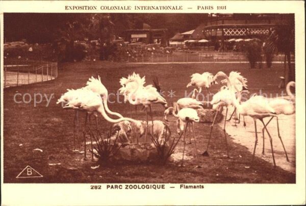 Exposition Coloniale Paris 1931 Zoo Flamingos Flamants