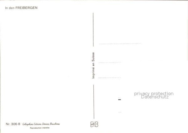 Pferde Freibergen – Bild 2