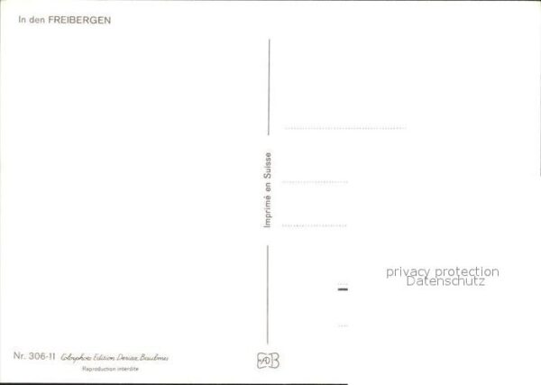 Pferde Freibergen – Bild 2
