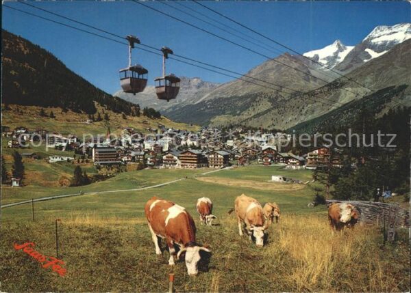 Seilbahn Saas-Fee Fletschhorn Laquinhorn Kühe