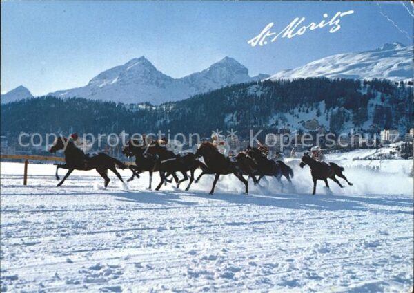 Pferdesport Pferderennen Reitsport St. Moritz Piz Julier Piz Nair