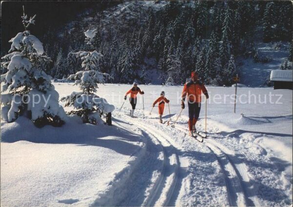 Ski-Langlauf Skiwandern Piste de fond et de rendonne