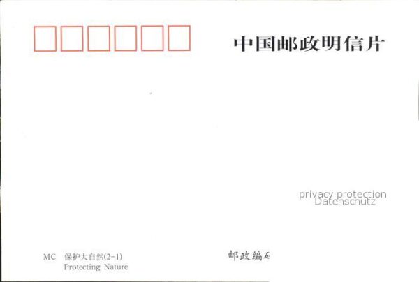 Blumen Pfingstrose China – Bild 2