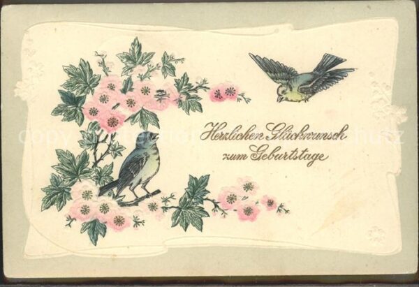 Voegel Glückwunsch Geburtstag Blumen