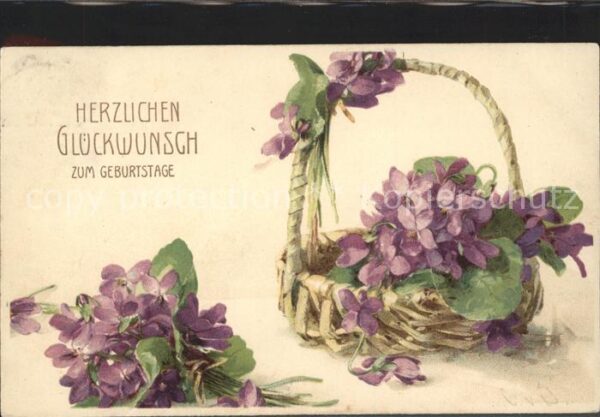 Geburtstag Veilchen Korb Litho