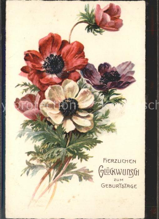 Geburtstag Glückwunsch Anemonen