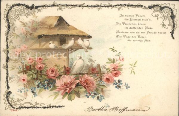 Tauben Gedicht Rosen Litho