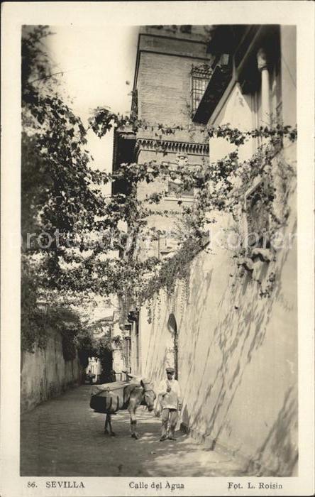 Sevilla Andalucia Calle del Agua Esel