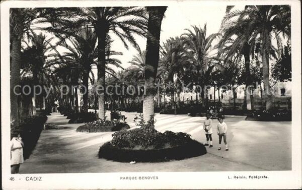 Cadiz Andalucia Parque Genoves Palmera