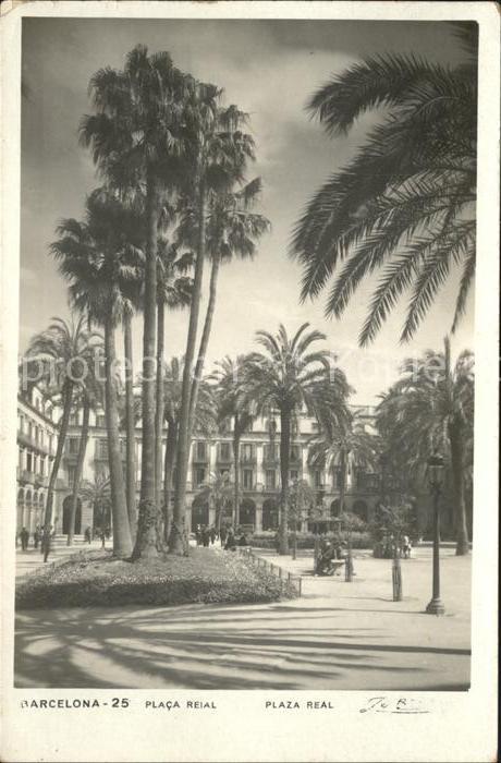 Barcelona Cataluna Plaza Real Palmera