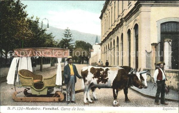 Funchal Carro de bois Ochsenkarren