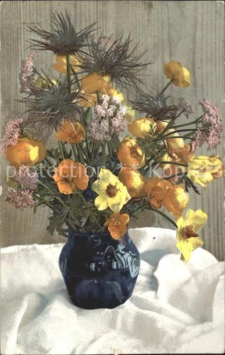 Verlag Photochromie Nr. Serie H. 492 Trollblumen