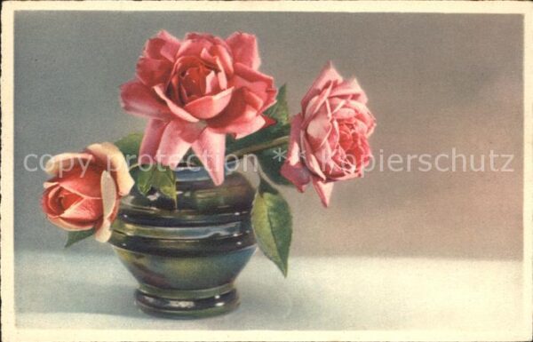 Verlag HB Nr. 4117 Rosen Vase