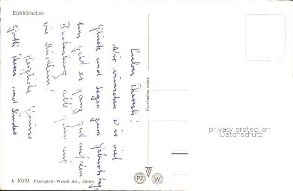 Eichhoernchen – Bild 2