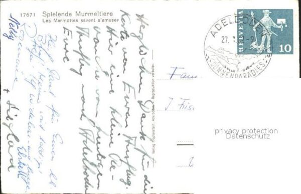 Murmeltier Marmottes – Bild 2