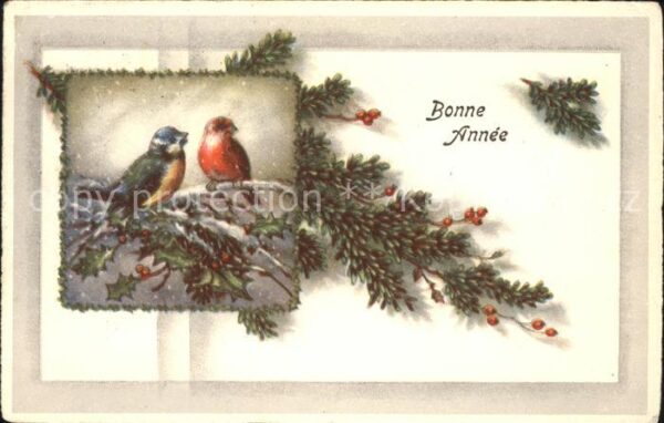 Voegel Blaumeise Neujahr Stechpalme