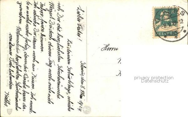 Maigloeckchen Veilchen – Bild 2