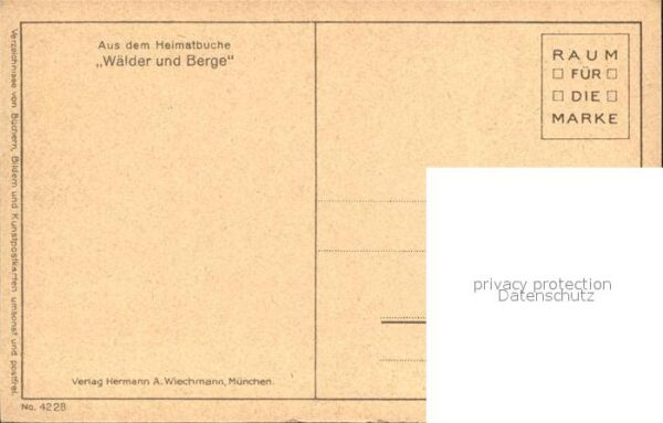 Baeume Trees Wald Verlag-Hermann-A.-Wiechmann Nr. 42 – Bild 2