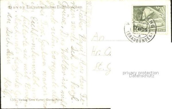 Eichhoernchen Davos – Bild 2