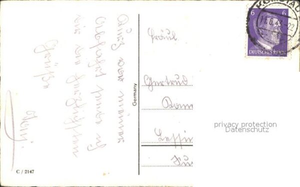 Blumen Nelken – Bild 2