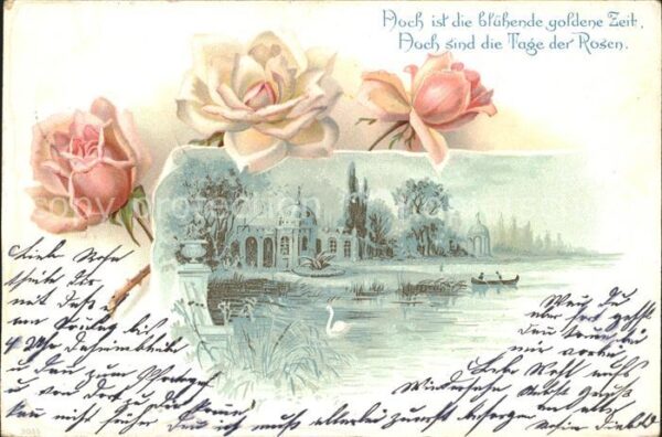Rosen Spruch Litho