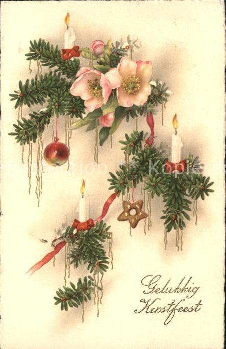 Weihnachten Schneerosen Christrosen Kerzen Lebkuche