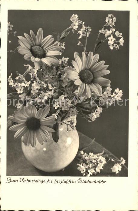 Foto EAS Nr. 8543 Margeriten Vergissmeinnicht Geburt