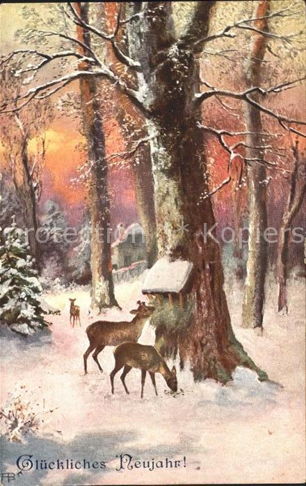 Neujahr Rehe Wald Futterkrippe