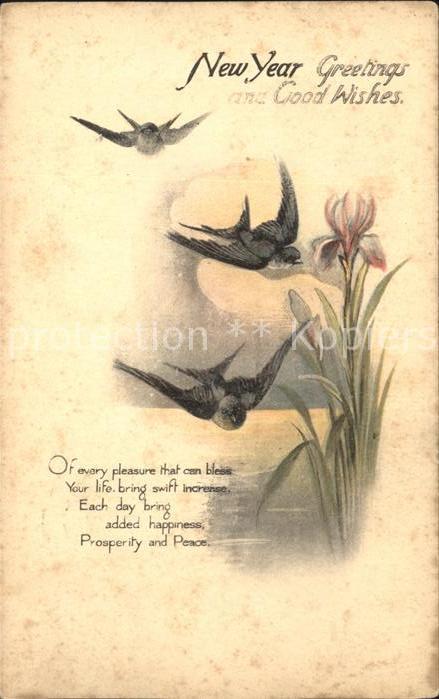 Neujahr Blumen Schwalben Gedicht Litho Verlag-T