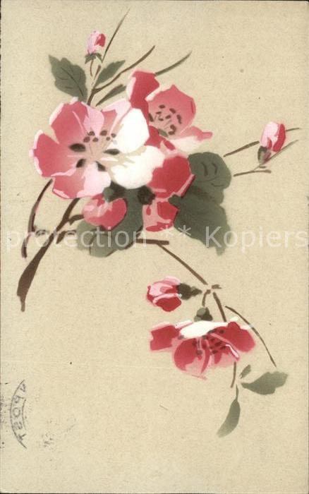 Rosen