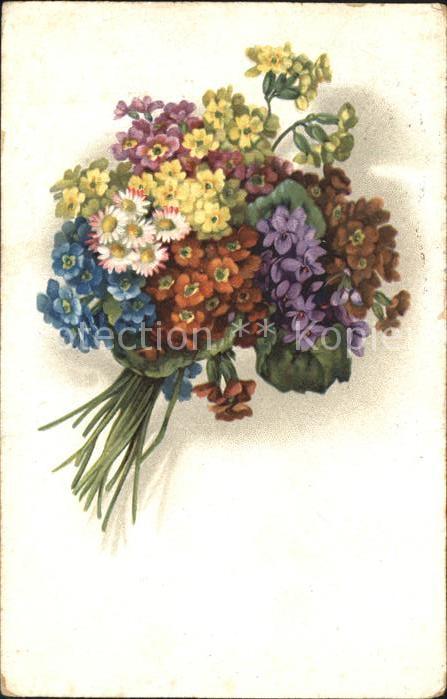 Blumen Veilchen Schlüsselblumen Gänseblümchen