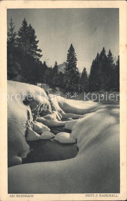 Foto Gaberell J. Nr. 1308 Am Bergbach
