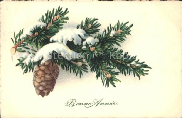 Tannenzapfen Neujahr Litho