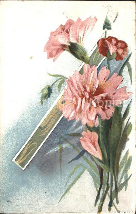 Blumen Nelken Litho Werbung Wernle's Putzpulve
