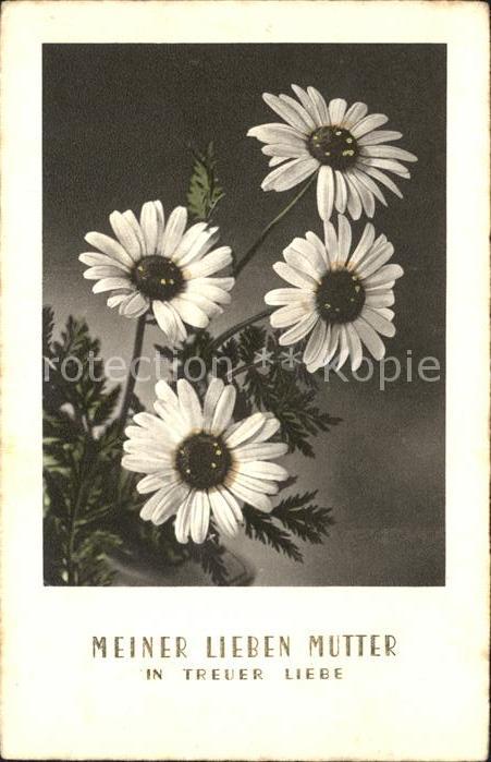 Muttertag Glückwunsch Margeriten